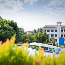 初中班主任论文