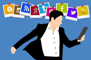 可以发视频赚钱的平台