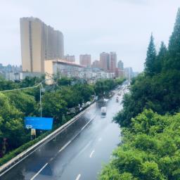 雨后 小故事