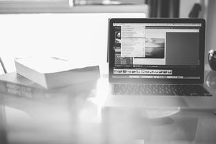 毕业论文查重网