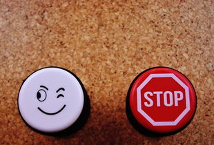 教师网上赚钱方法