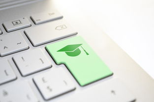 靠网络平台挣钱副业