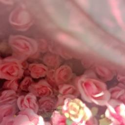 花瓣网发布素材能赚钱吗