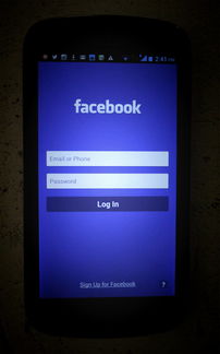 画画怎么在网上赚钱