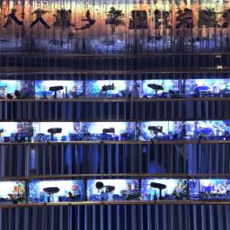 关于国富论的论文