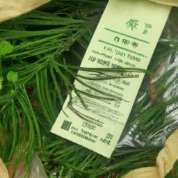 致富项目农村种药材