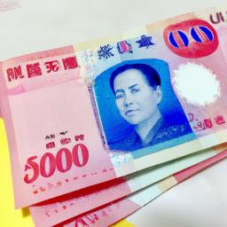 1000元致富项目