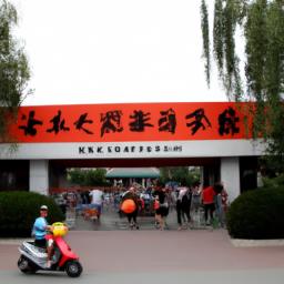 河南省农村致富项目
