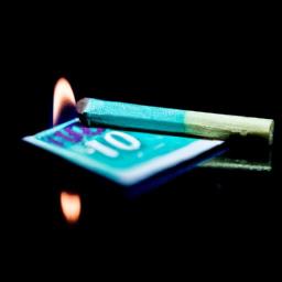 现在最火的赚钱项目