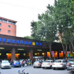 论文引用国标的格式