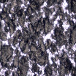 关于波粒二象性的论文