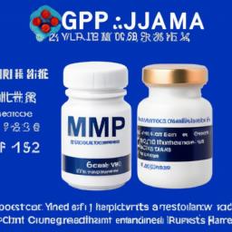 gmp论文